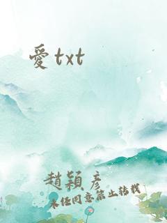 爱txt