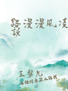 路漫漫风凌轩小说