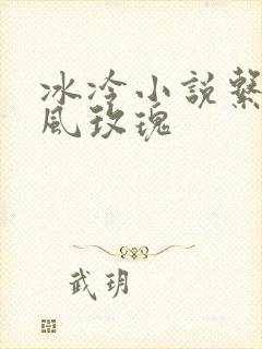 冰冷小说系列之风玫瑰