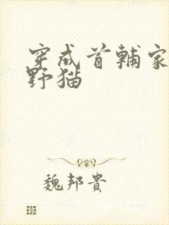 穿成首辅家的小野猫