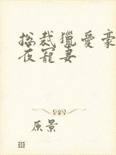 总裁猎爱豪门一夜宠妻