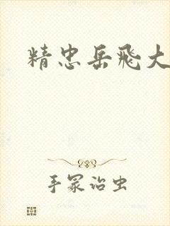 精忠岳飞大结局