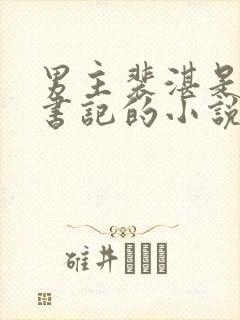 男主裴湛是省委书记的小说