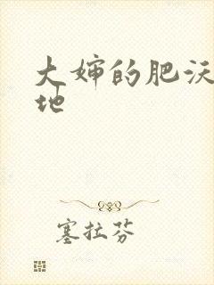 大婶的肥沃的土地