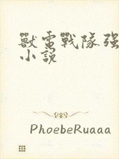 兽电战队强龙者小说