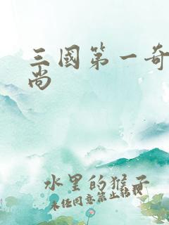 三国第一奇兵袁尚