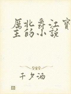 厉北爵江宝宝男主的小说