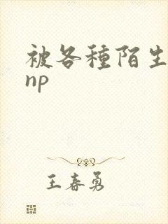 被各种陌生人 np