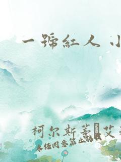 一号红人 小说