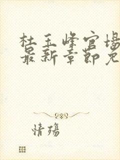 杜玉峰官场小说最新章节免费阅读