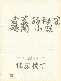 黄蓉的秘密 笔趣阁 小说