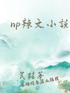 np辣文小说