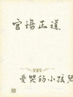 官场正道