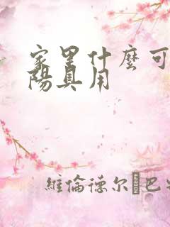 家里什么可以当阳具用