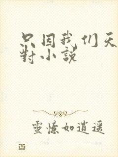 只因我们天生一对小说