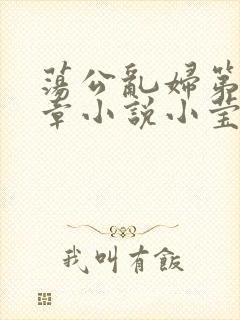 荡公乱妇第51章小说小莹