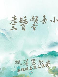 老旺超秦小雨第三百章