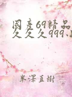 国产69精品久久久久999小说