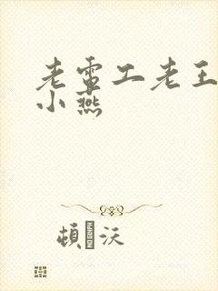 老电工老王和李小燕