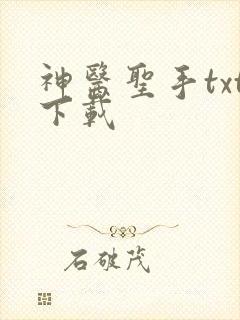 神医圣手txt下载