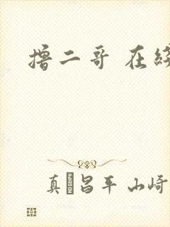 撸二哥 在线