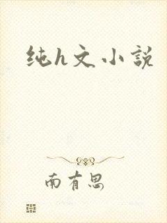 纯h文小说