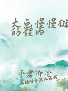 大龟慢慢挺进我的体内