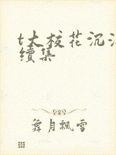 t大校花沉浮录续集