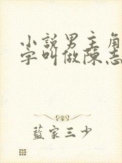 小说男主角的名字叫做陈志远