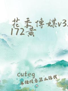 花季传媒v3.172黄