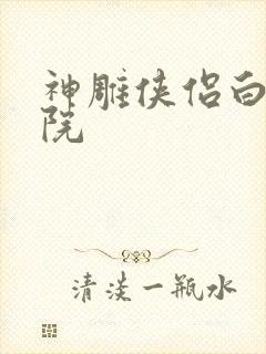 神雕侠侣白鹿书院