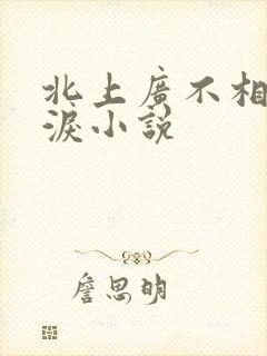 北上广不相信眼泪小说