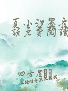 夏小汐墨夜霆小说免费阅读