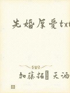 先婚厚爱txt