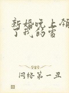 新婚晚上领导破了我的处