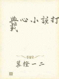 典心小说打包下载