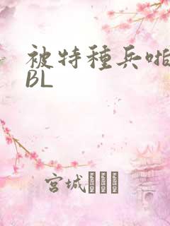 被特种兵啪到哭BL