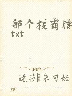 那个校霸腰好软txt