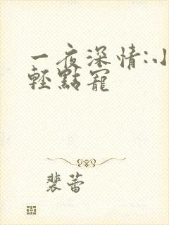 一夜深情:小叔轻点宠