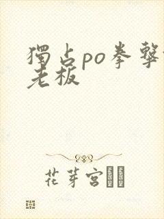 独占po拳击馆老板