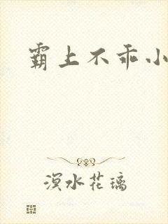 霸上不乖小逃妻