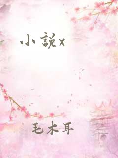 小说x