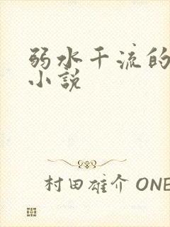 弱水千流的全部小说