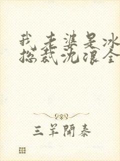 我老婆是冰山女总裁沈浪全集