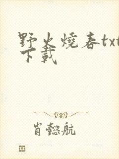 野火烧春txt下载