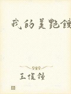 我的美艳馊子