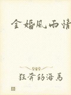 金婚风雨情下载