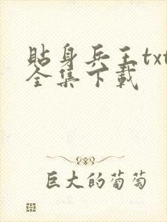 贴身兵王txt全集下载