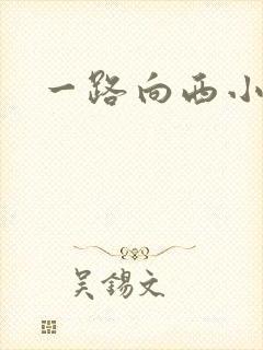 一路向西小说