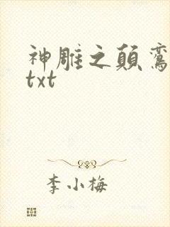 神雕之颠鸾倒凤txt